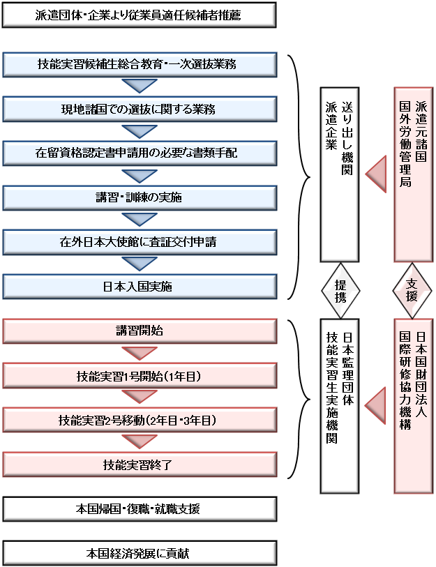 実習生受入れの流れ